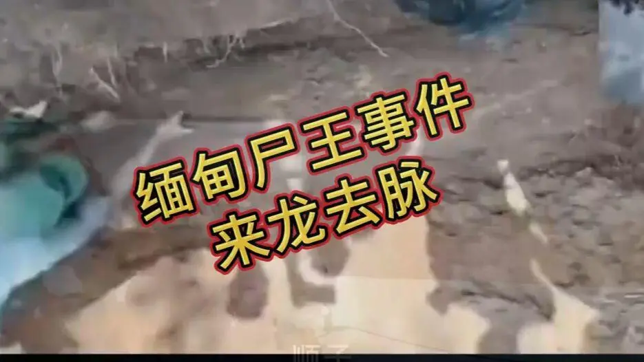 《缅甸僵尸出土事件视频》诡异真相解密在线观看 - 爆火视频完整版资源在线观看免费播放
